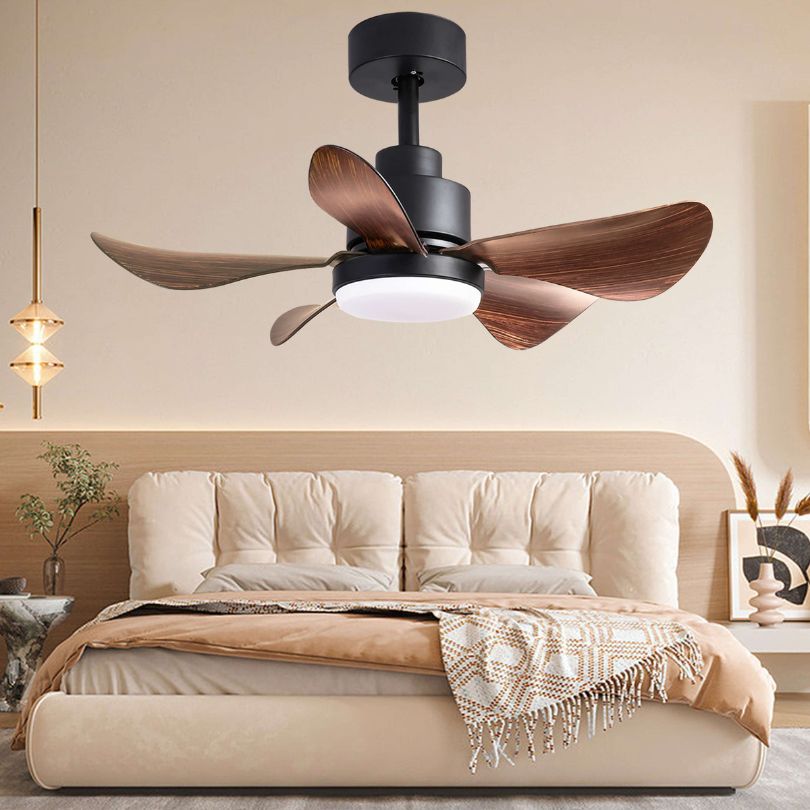 Close-up of the black ceiling fan with walnut reversible blades and flush LED light fixture.
