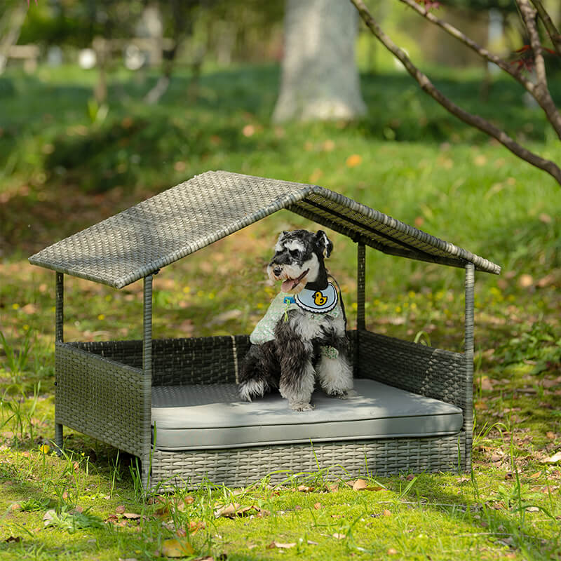 Front view of the stylish canopy dog house showcasing spacious interior and dark gray color.