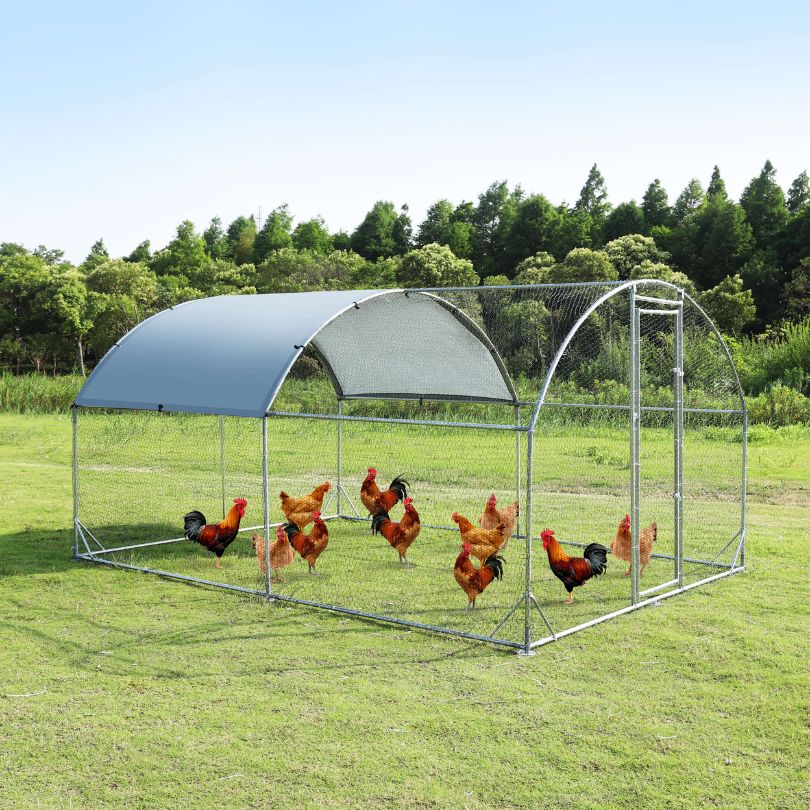 Interior view of a spacious outdoor chicken house, perfect for multiple animals.