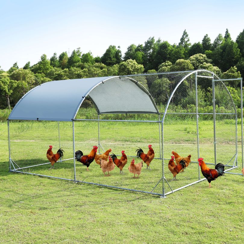 Interior view of a spacious outdoor chicken house, perfect for multiple animals.