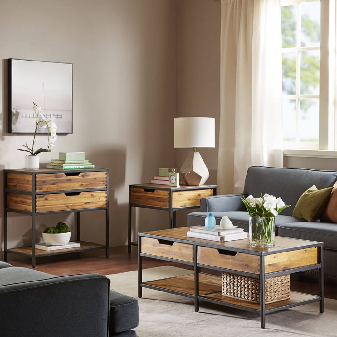 Modern accent chest displayed in a cozy living room, highlighting its practical storage features.