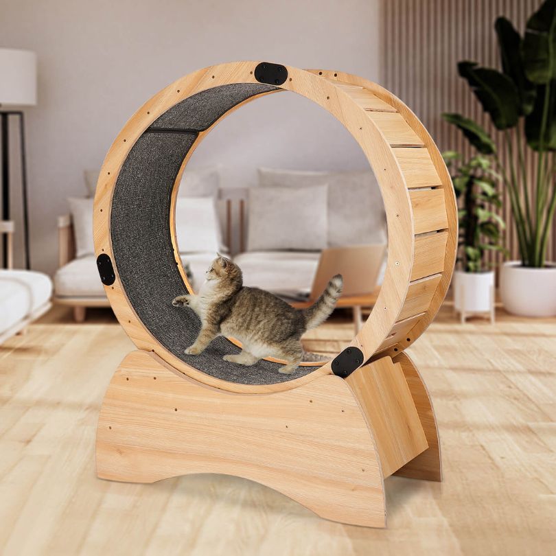 Stylish wooden cat exercise wheel with a sleek design, perfect for indoor play.