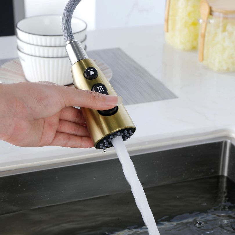 Close-up view of the elegant gold kitchen faucet showcasing the pull-out sprayer.
