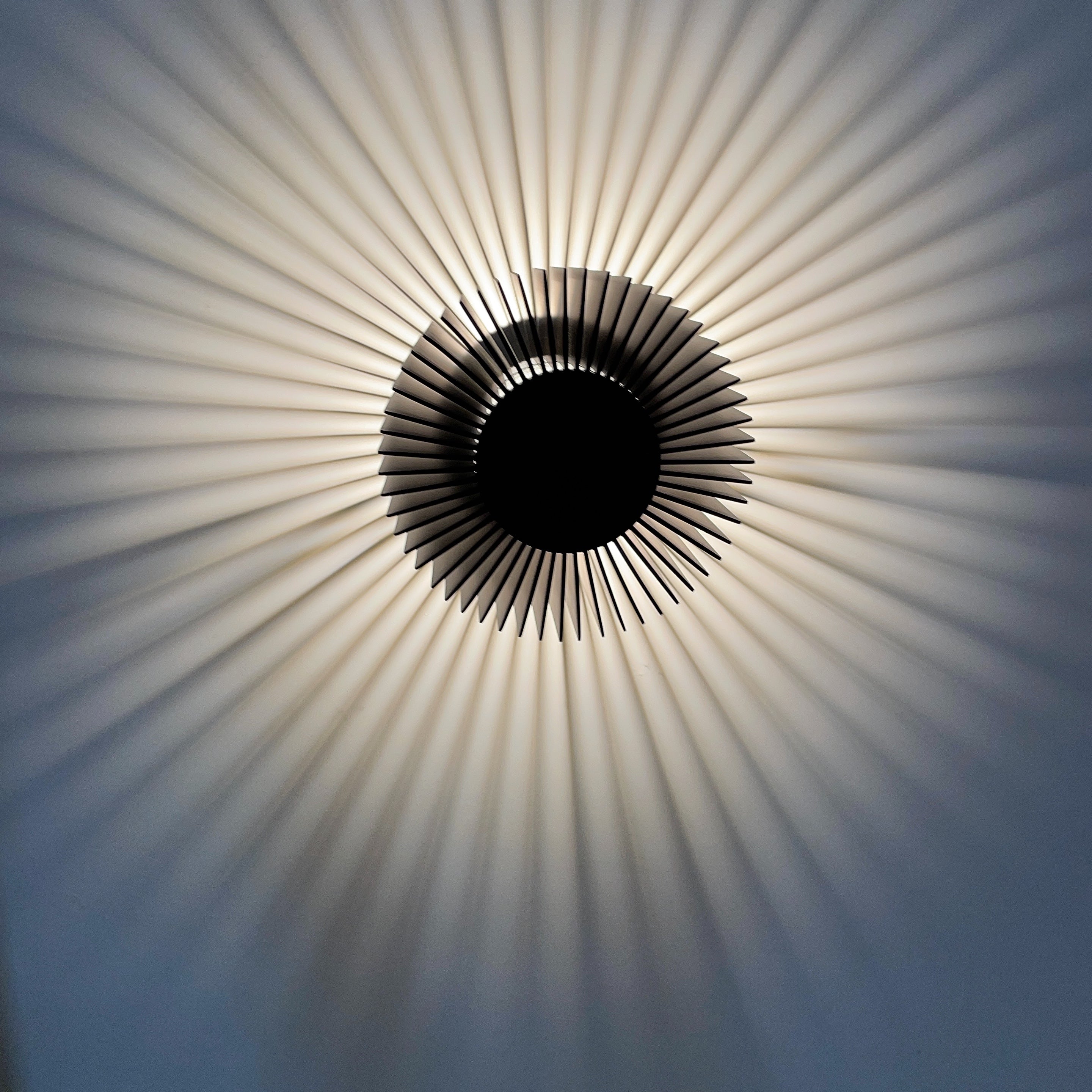 Elegant Industrial Flower Wall Lamp showcasing pleated shades in a modern setting.